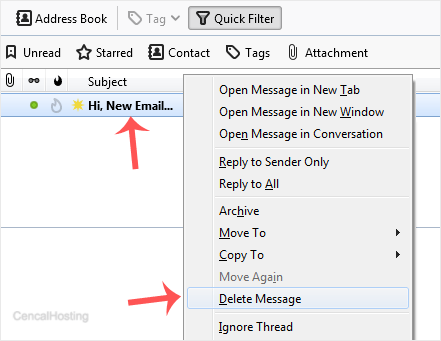 thunderbird-delete-email.gif